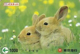 Carte Prépayée Japon - ANIMAL - LAPIN - RABBIT - KANINCHEN Karte - KONIJN - CONEJO Japan Prepaid Passnet Card - 142 - Konijnen