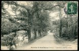 Environs De SEMBLANCAY - Tournelune, Allée De Chênes - Semblançay