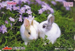 Carte JAPON - ANIMAL - LAPIN & Fleurs Violettes - RABBIT - KANINCHEN - KONIJN - CONEJO JAPAN Lagare Card - 223 - Conigli