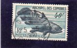 Comores:année 1954TP Oblitéré (faune Marine:Coelacanhte. Dentelé 13) N°13 - Autres & Non Classés