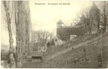 Rapperswil - Hirschpark Mit Schloss              Ca. 1910 - Rapperswil-Jona