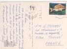 Beau Timbre : " Poisson " YVERT N° 1437 / Carte , Postcard Du  20/4/82 Pour La France - Cartas & Documentos