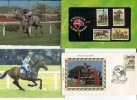 (700) Horse Racing - Course De Chevaux - Hyppodrome - Horse Show