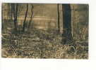 1911 Forêt De Soignes Auderghem Boitsfort Etang Des Enfants Noyés - Auderghem - Oudergem