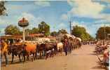 PENDLETON Oregon Stagedannually Parade Portrays, Attelages De Vaches, Roulottes, Chariots - Other & Unclassified