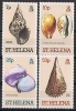 ST-HELENA - 1981 - Coquillages - 4v Neufs - Mnh - St. Helena