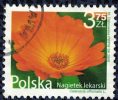 Timbre Oblitéré Used Stamp Nagietek Lekarski 3,75 Zl Fleur Flower Gazanie 2009 POLOGNE WNS N° PL033.09 - Gebraucht