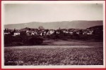 Apples / Petit Village Dans La Verdure.  Sans Les Nouvelles Constructions. - Apples