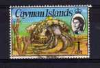 Cayman Islands - 1974 - 1 Cent Hermit Crab - Used - Iles Caïmans