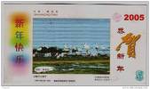 Seashore Wetland,Best Bird Watching Site,Seagull,China 2005 Qinhuangdao Landscape Advert Pre-stamped Card - Seagulls