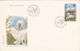 BIRDS, PELICAN, 1984, COVERS, FDC, PREMIER JOUR, ROMANIA - Pelikanen