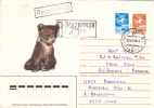 BEARS, OURS, 1986, REGISTERED, POSTAL COVER STATIONARY, RUSSIA - Bären