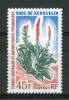 1973 TAAF Flora Fiori Flowers Blumen Fleurs Serie Completa MNH** Fio85 - Unused Stamps