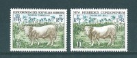 Nouvelles- Hébrides: 408/ 409 **  Charolais - Cows