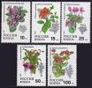 Russia 1993 Indoor Plants Flowers Flower Chinese Hibiscus Persian Persian Cyclamen Plant Nature MNH Michel 296-300 - Collections