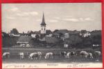 MÜNSINGEN, LICHTDRUCK - Münsingen