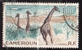 N°47     -Oblitéré   -Girafes- Cameroun - Giraffen