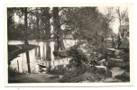 Denain (59) : Enfants à La Grotte Du Parc En 1950 (animée) PHOTO VERITABLE. - Denain