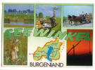 Seewinkel - Mit Motive Tiere Ziehbrunnen Landkarte ( Map ) - Andere & Zonder Classificatie