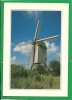 STEENVOORDE - LE NOORDMEULEN   - MOULIN DE FLANDRE - Steenvoorde