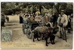 Carte Postale Ancienne Le Havre - Square Saint Roch. La Voiture Aux Chèvres - Attelage, Enfants - Square Saint-Roch