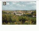 Portugal Cor 17345 - MIRANDELA - VISTA PANORÂMICA - Bragança