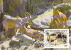 TCHAD      WWF CARTE MAXIMUM NUM.YVERT  509     PROTECTION DE LA NATURE FAUNE    MOUFLON A MANCHETTE - Cartoline Maximum