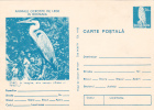 HOBBLEDEHOY, 1977, CARD STATIONERY, ENTIER POSTAL, UNUSED, ROMANIA - Cigognes & échassiers