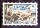 Saint Pierre Et Miquelon N°374 Chevreuils - Ungebraucht