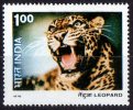 India 1976 Wildlife 1r Leopard Used  SG 827 - Used Stamps