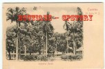 St LUCIA - Colombus Square Castries - Jardin Public - Sainte Lucie - Cliché 1900 - Sainte-Lucie