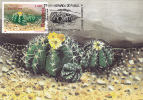 CACTUS, BOTANICAL GARDEN CLUJ, 1997, CM. MAXI CARD, CARTES MAXIMUM, ROMANIA - Cactus