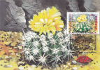 CACTUS, FLOWERS, BOTANICAL GARDEN CLUJ, 1997, CM. MAXI CARD, CARTES MAXIMUM, ROMANIA - Cactussen