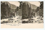 CPA ,stereoscopique,64 Les Pyrénées.Environs De Cauterets, Le Pont D´Espagne . Bearn   ,stereo  Paypal - Bearn