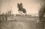 Carte Photo Entraînement Cavalerie? - Horse Show