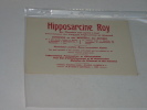 BUVARD HIPPOSARCINE ROY Lyon - P