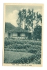 ADDIS ABEBA -CASE FRA IL VERDE - 1936 -N.4372- A.O.I. REGNO D´ITALIA - COLONIE - *(col936) - Äthiopien