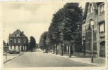 Beerse : Lindenlaan - Beerse