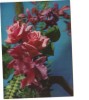 BC61540 Fleurs Flowers 3D Cartes Steroscopiques Not Good Shape Back Scan At Request - Stereoscopische Kaarten