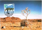 8802. Maxima Vereinten Nationen. UN. For Namibia, ONU 1991 - Maximum Cards