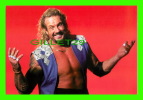 SPORTS, WRESTLING - LUTTE - CATCH - DIAMOND DALLAS PAGE - WCW/NWO - 1998 SUPERSTARS - No 33 - - Lutte