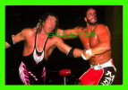 SPORTS, WRESTLING - LUTTE - CATCH - MACHO MAN & BRET  HART - WCW/NWO - 1998 SUPERSTARS - No 48 - - Lutte