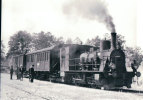 Chemin De Fer, Train à Sursee Photo 1960 BVA  227.4 ST - Sursee