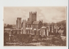 Wells Cathedral From Hill Showing Gardens England Old PC - Wells