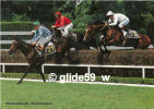 AUTEUIL - Un Beau Saut De Haie - Trois Chevaux... Avant, Pendant Et Après - N° CA 005 - Paardensport