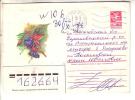 GOOD USSR Postal Cover 1985 - Flowers - Brieven En Documenten