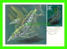 CARTE MAXIMUM, 1978 - POISSON -  CCCP 6K - - Cartes Maximum