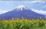 JAPON JAPAN FUJIYAMA VOLCAN VOLCANO SUNFLOWERS TOURNESOLS UT - Volcanos