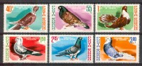 1981 Romania Piccioni Pigeons Uccelli Birds Vogel Oiseaux Set MNH** T18 - Unused Stamps