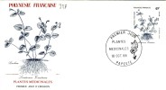 FDC  POLYNÉSIE  TAHITI  1988 # Enveloppe #  PLANTES MÉDICINALES : CRESSON BÄTARD # Botanique # Flore - FDC